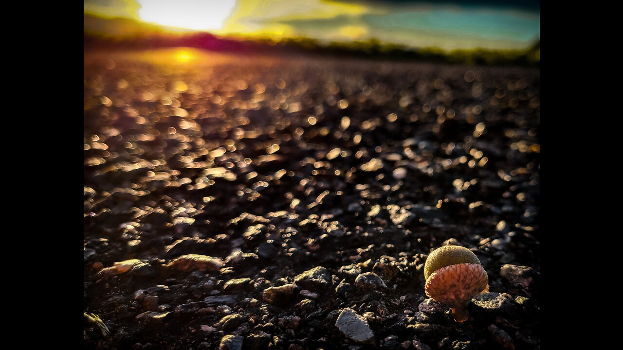 September In Pictures