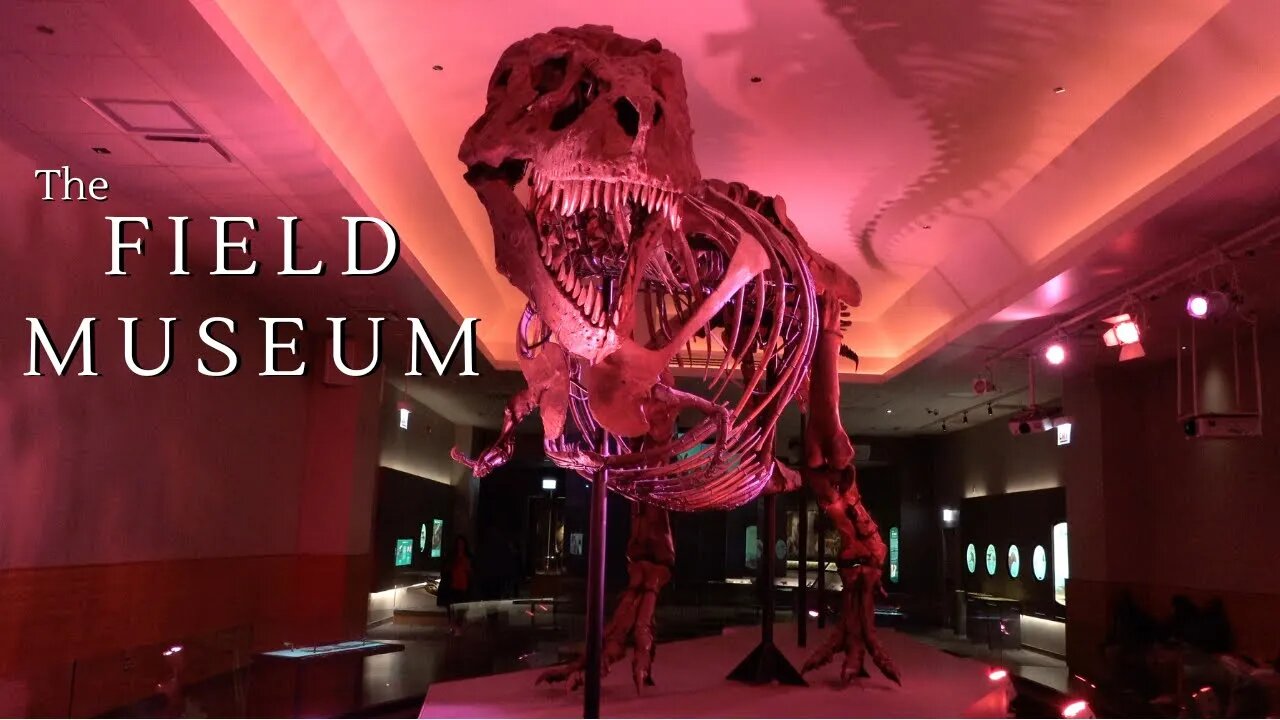 Exploring the Chicago Field Museum 2022