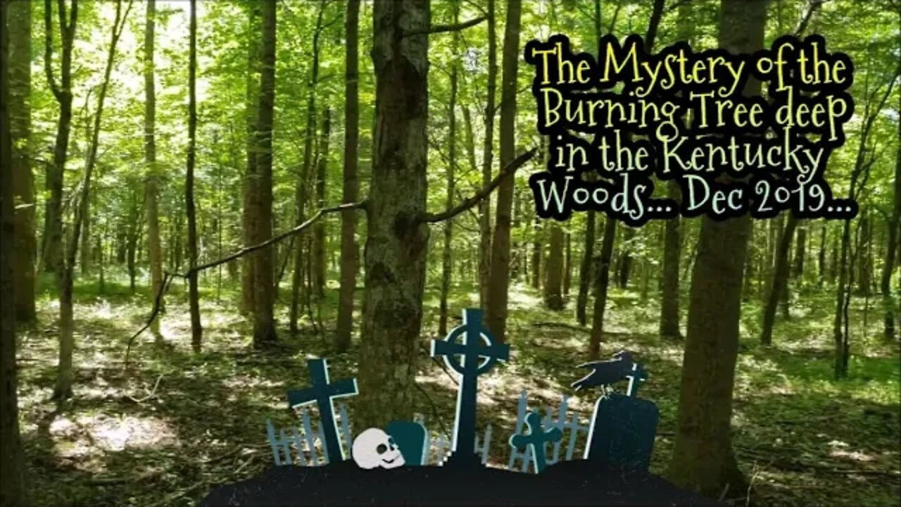 Kentucky Mystery Tree Fire Investigation... Do you believe it?