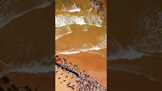 Can you spot me in this drone shot?