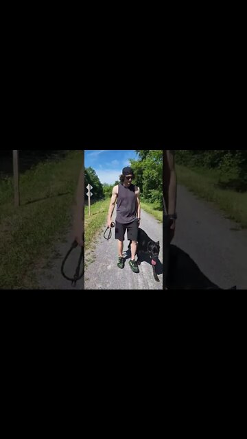 Can YOUR PUPPY Do This? 😳 #shorts #canecorso #puppy