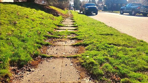 OVERGROWN Sidewalk Edge NEGLECTED For 50 YEARS Gets A FREE Makeover