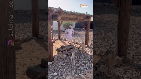 The end 😂😂😂 #funny #viral #shorts #funnyvideos #trustedhumor