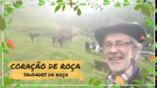 CORAÇÃO DE ROÇA SEU PROGRAMA DE DOMINGO DIRETO DO CURRAL, COM PAULO CELEIRO.