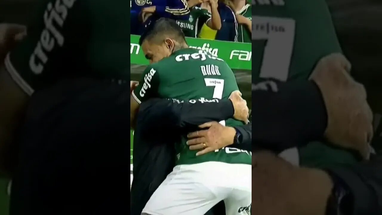 SERÁ QUE AINDA É QUERIDO NO PALMEIRAS ⚽⚽⚽