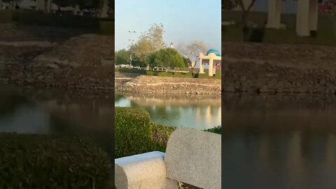 #subscribe #short #beautiful #oman #lifeinoman #nature #lifeinomanwithAHS