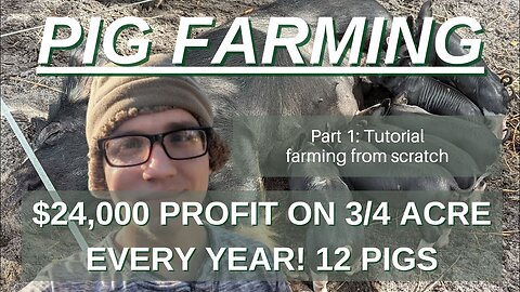 Making $27k a Year from $3500 and Under a Acre Farming Pigs Profit