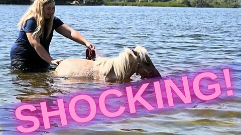 We Took Our Pony To The Beach! SHOCKING!