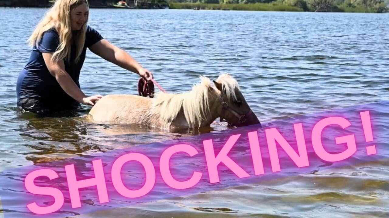 We Took Our Pony To The Beach! SHOCKING!