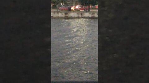 Red vehicles gang stalking