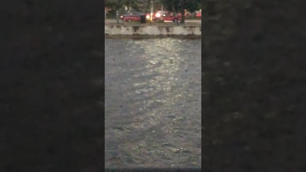 Red vehicles gang stalking