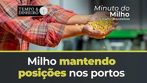 Milho mantendo posições nos portos