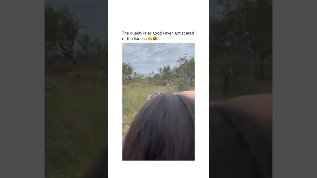 The quality is super good