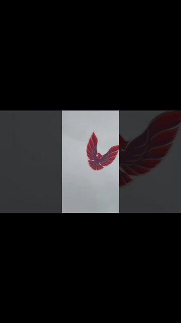 Pontiac firebird exhaust#firebird transam#flowmaster#v8#chevy#350chevy #musclecar #firebird #pontiac