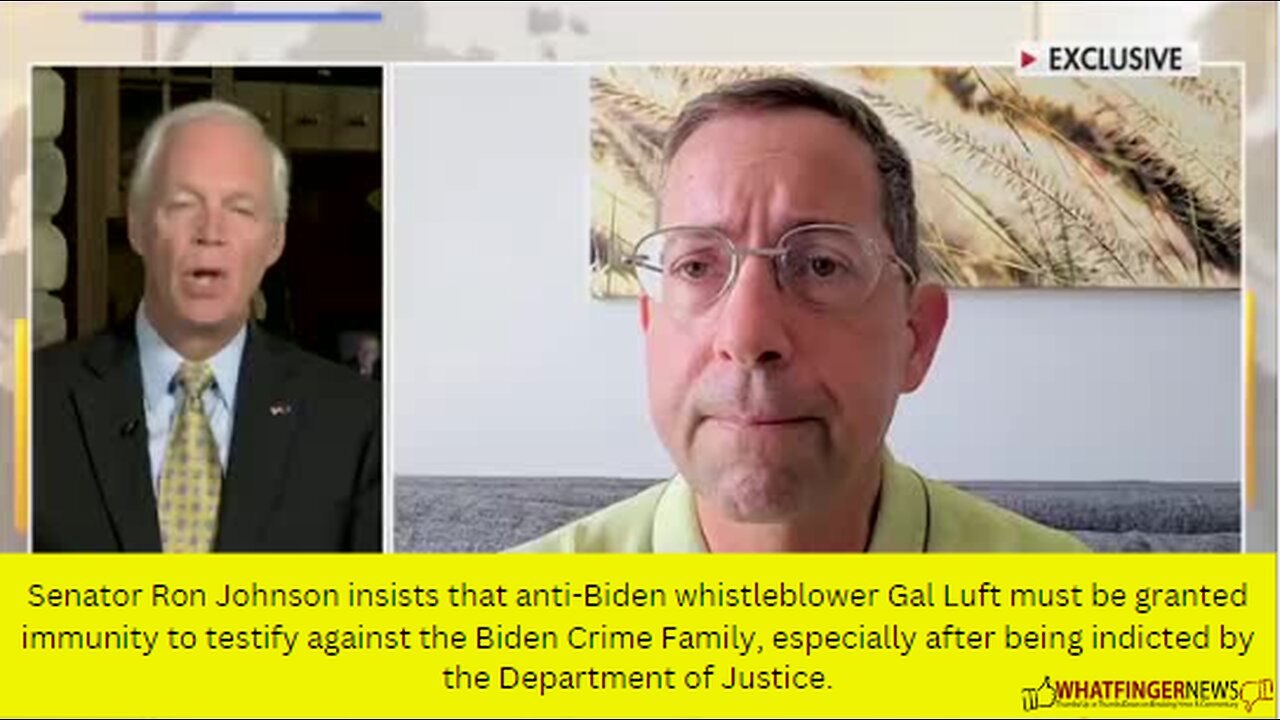 Senator Ron Johnson insists that anti-Biden whistleblower Gal Luft