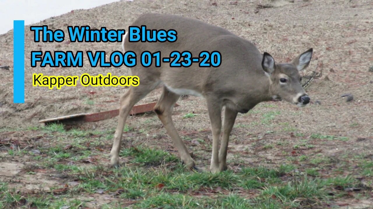ILLINOIS FARM VLOG for the Winter Blues...
