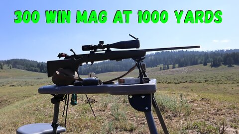 Howa 1500 in 300 Win Mag 1000 Yards. Might be getting a re-barrel soon.