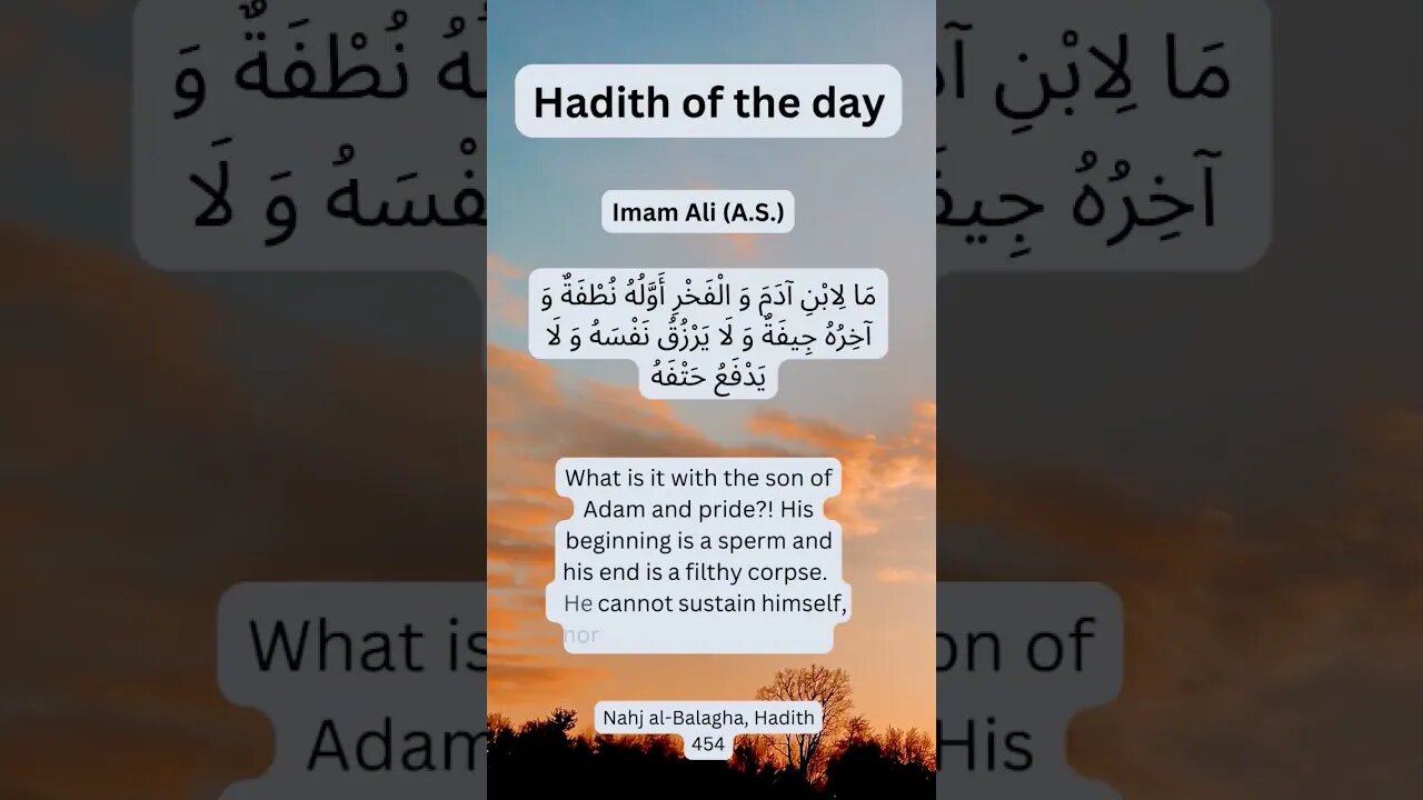 The Reality Check: Reflections from Imam Ali on Human Pride