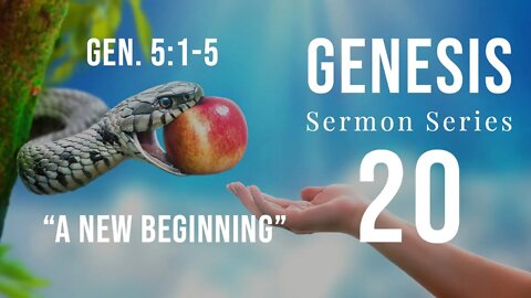 Genesis Sermon Series 20. A New Beginning. Genesis 5:1-2