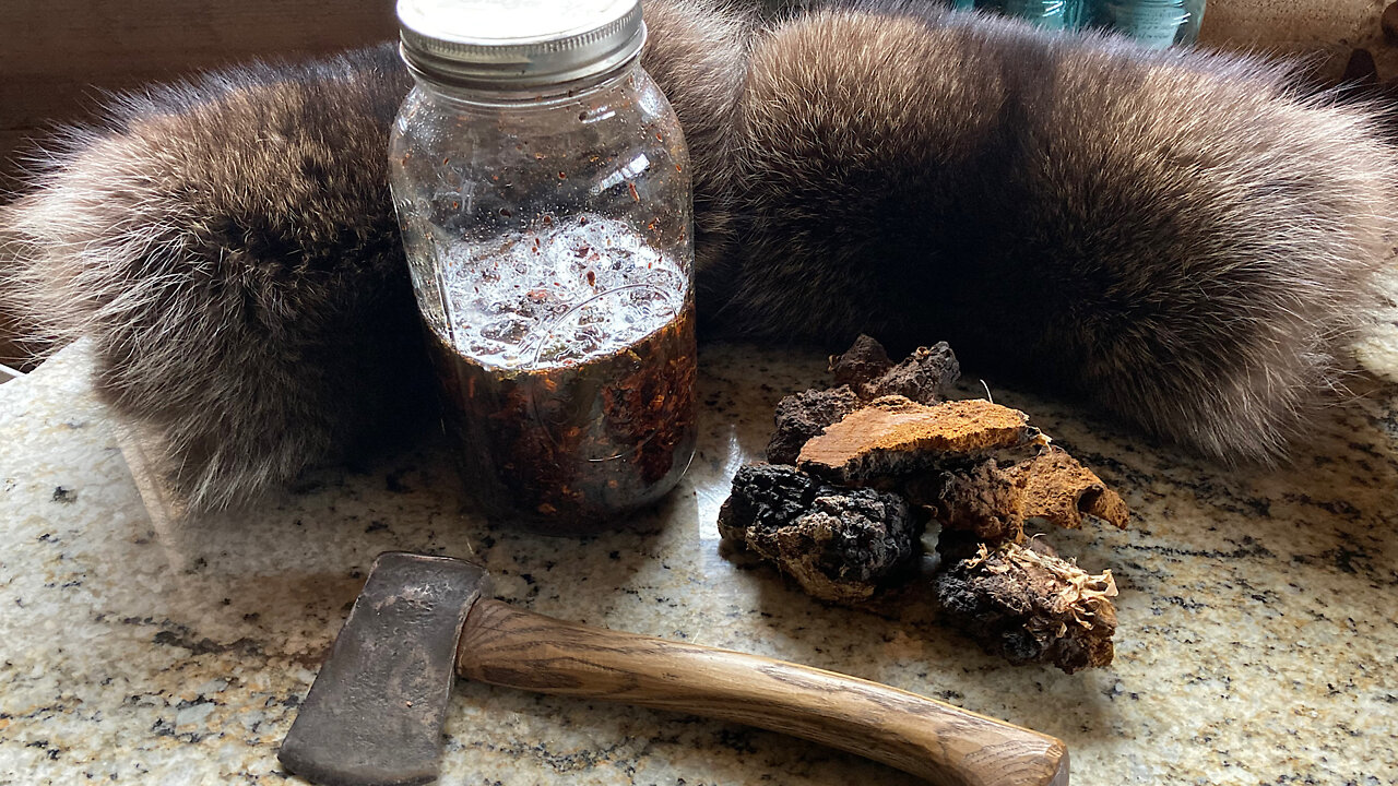 Making Chaga Mushroom Tincture Part 2