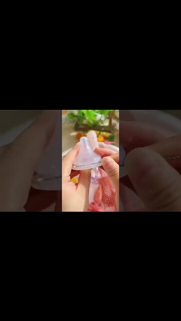 Best gadget tool for cleaning #shorts #home