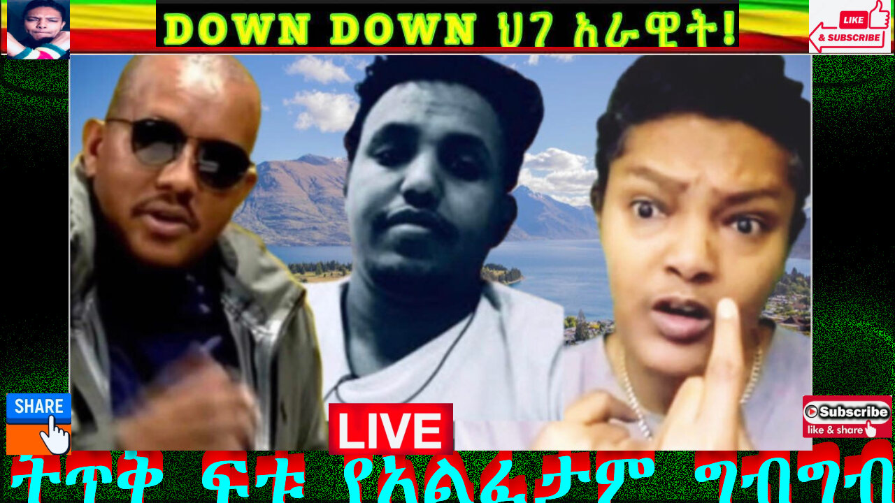 ትጥቅ ፍቱ የአልፈታም ግብግብ