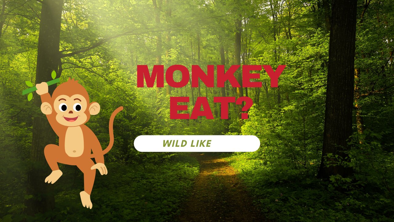 How do monkeys eat in the deep forest? You will be surprised to see!