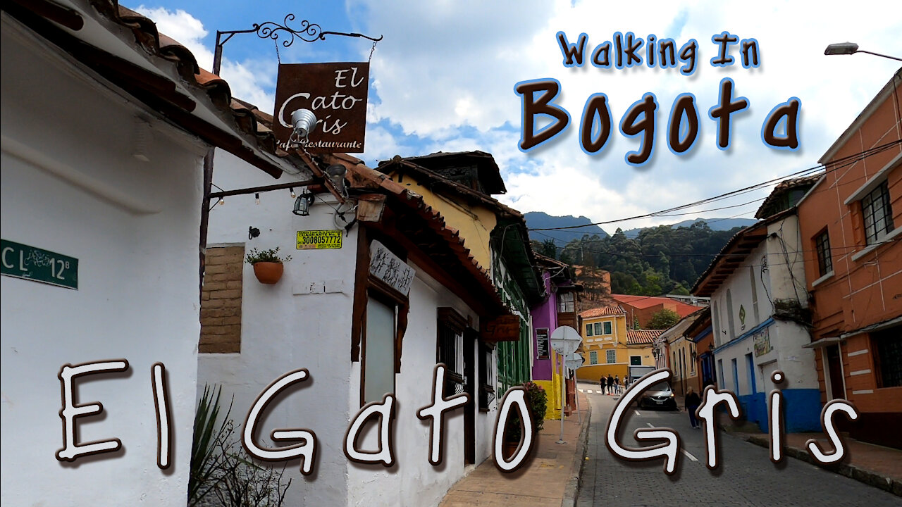 Walking Through the Streets of Bogota, Colombia - El Gato Gris