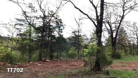 Homestead site 1