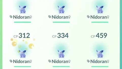 It's Lucky Nidoran all the way up