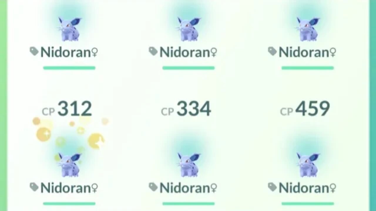 It's Lucky Nidoran all the way up