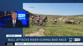 Bull strikes 4 bicyclists during Rock Cobbler Race near Bakersfield