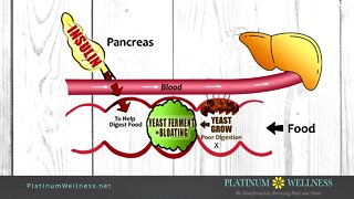 Platinum Wellness & Weight Loss: Help lowering your A1C and lose some weight