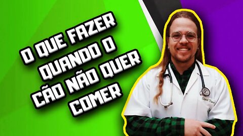 O que fazer quando o cão não quer comer? | Dr. Edgard Gomes | Alimentação Natural para Cães