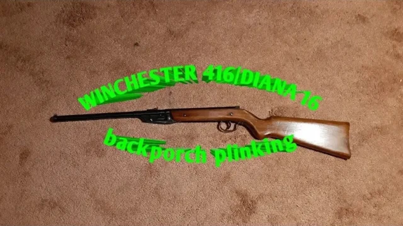 Winchester 416 / Diana 16 *backporch plinking