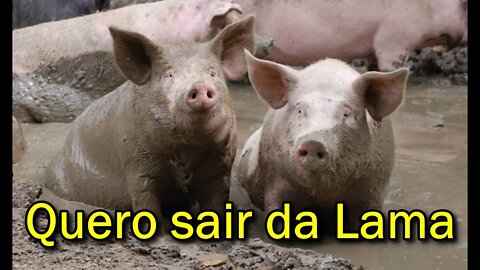 É possível sair da Lama através da Quimbanda?