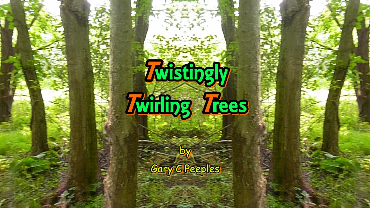 Twistingly Twirling Trees