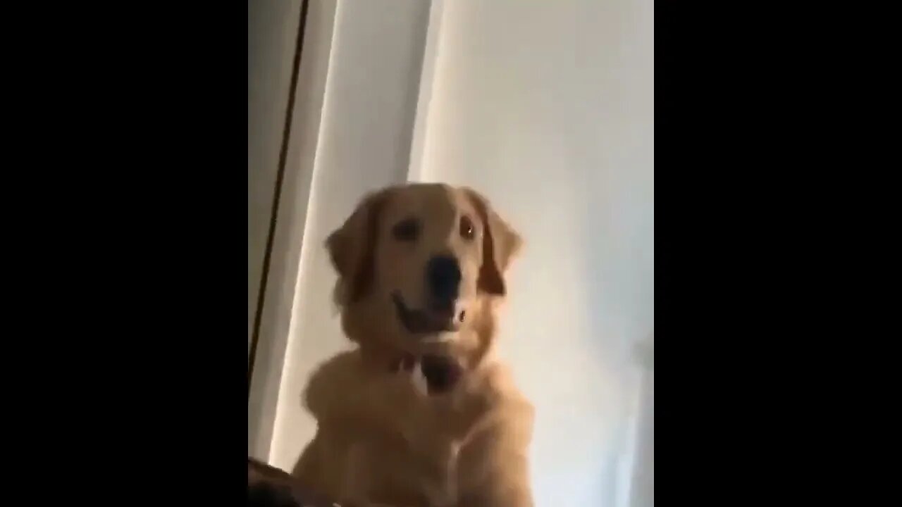 LIVE, DAMN YOU, LIVE! YOU WON'T DIE ON MY WATCH