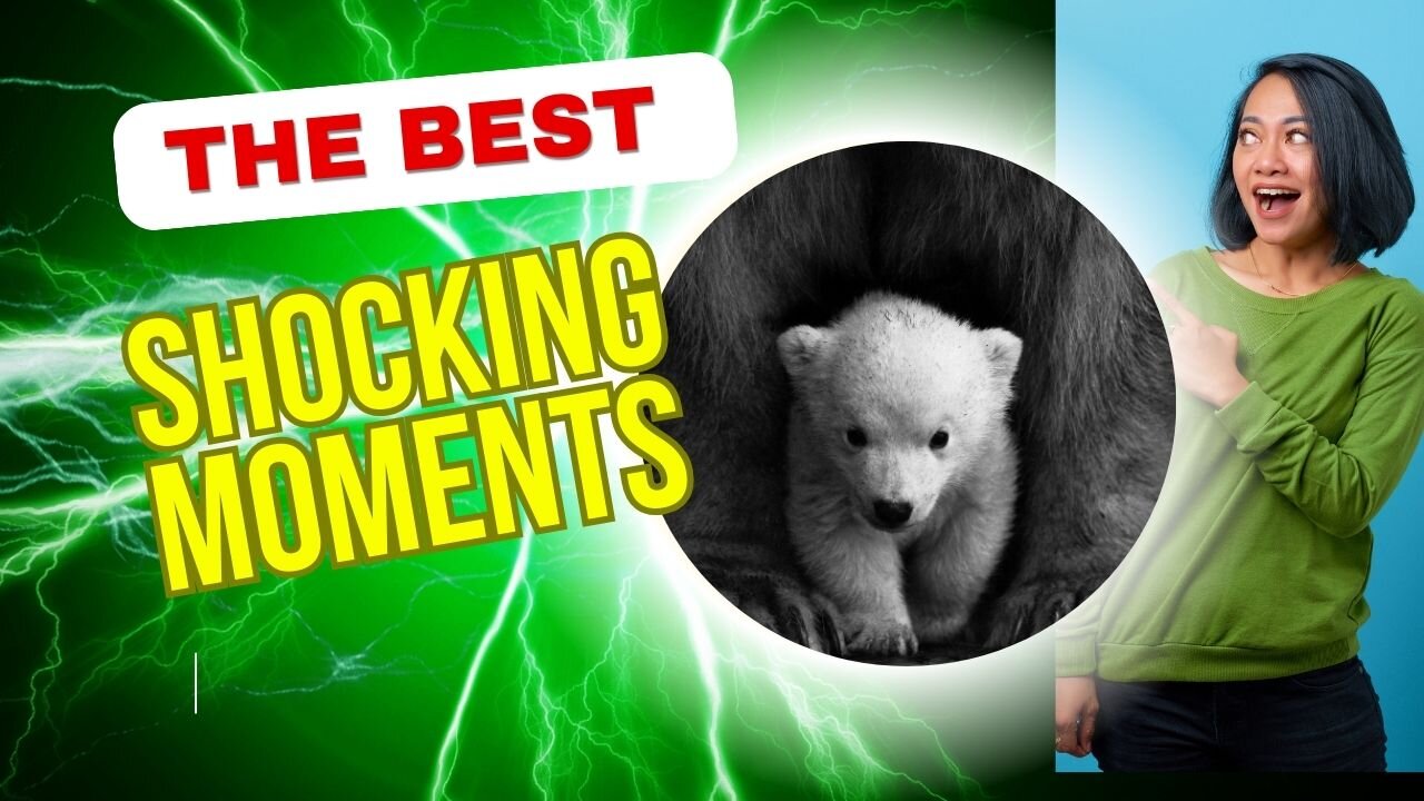 Cute baby animals ❤️✨| Funny Animals | Cute moments of cute animals| Animals Pet