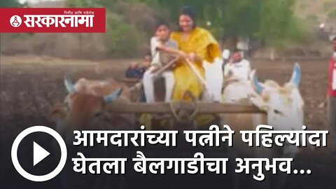 mla wife |आमदारांच्या पत्नीने पहिल्यांदा घेतला बैलगाडीचा अनुभव...|Bullockcart | yavatmal |Sarkarnama