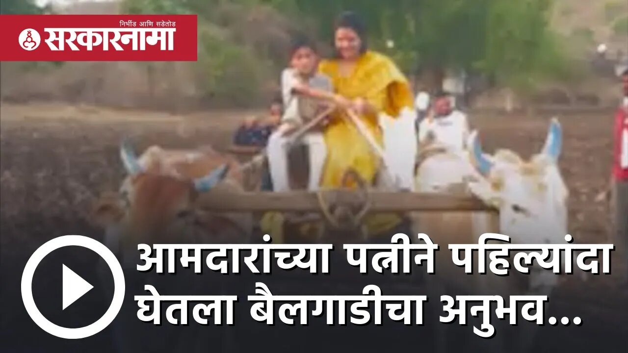 mla wife |आमदारांच्या पत्नीने पहिल्यांदा घेतला बैलगाडीचा अनुभव...|Bullockcart | yavatmal |Sarkarnama