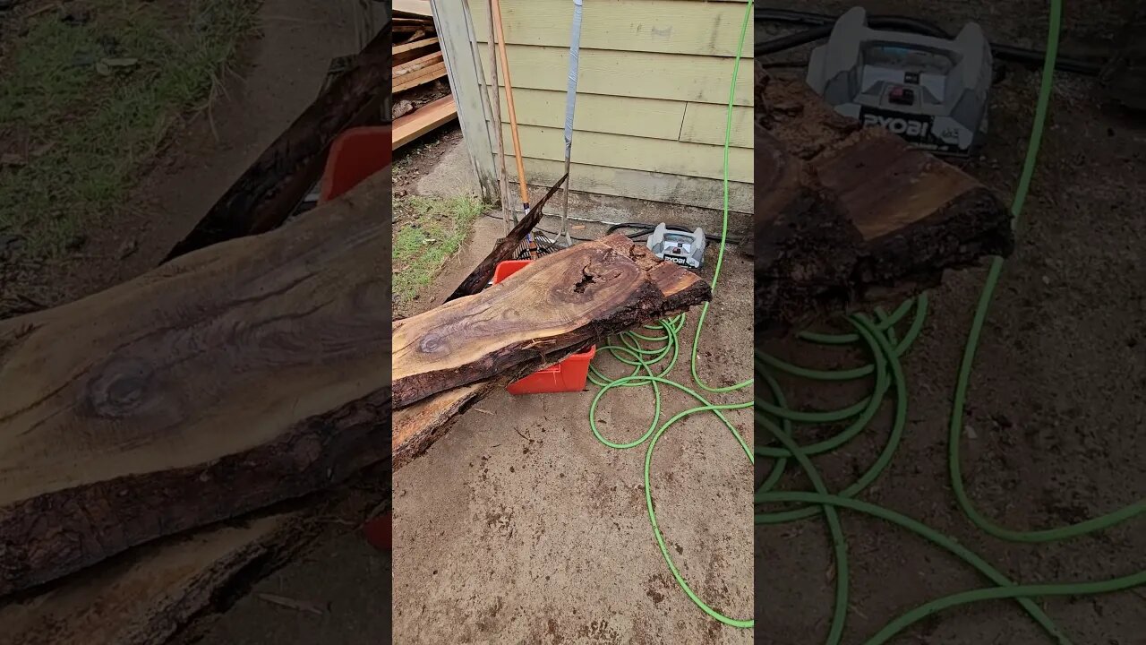 Curly Black Walnut and White Oak on the Sawmill #short #shorts #wood #sawmill #wickedwoodsnwllc