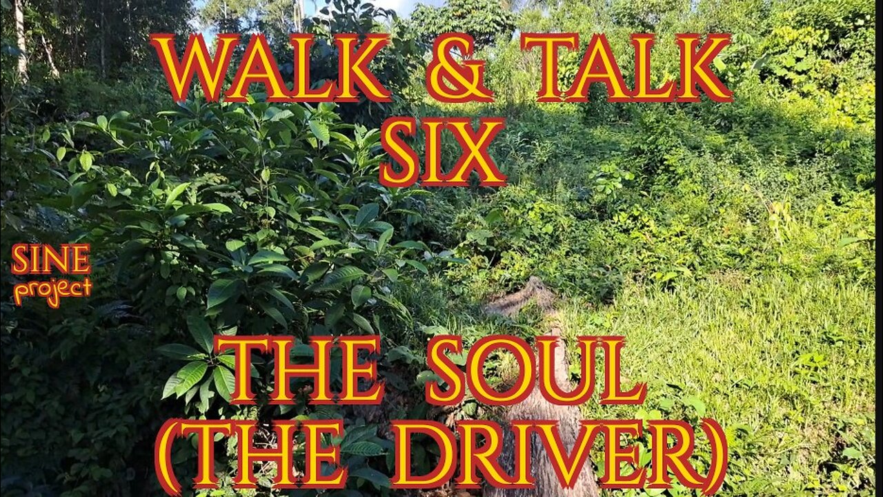 WALK AND TALK 6 / THE SOUL (THE DRIVER)