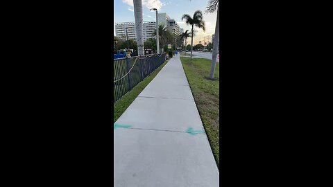 Livestream Clip 5/18/2023 #LiveStream #Winterberry #MarcoIsland #mywalksinparadise