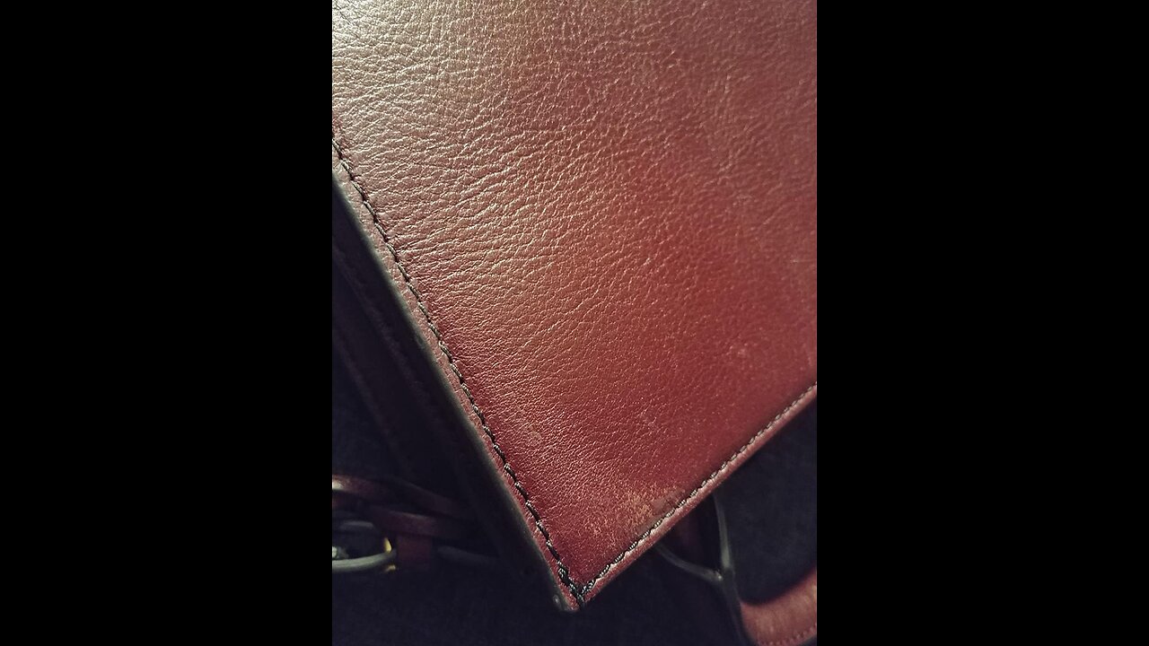 Fossil Women's Carmen Leather Tote Purse Handbag