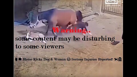 🐴💥 Horse Kicks Dog & Woman 😱 Serious Injuries Reported! 🐕👩‍⚕️