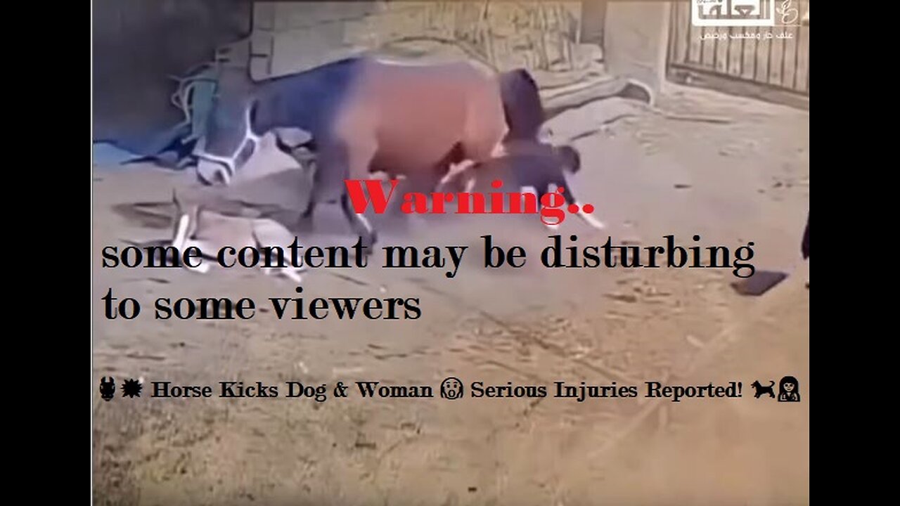 🐴💥 Horse Kicks Dog & Woman 😱 Serious Injuries Reported! 🐕👩‍⚕️