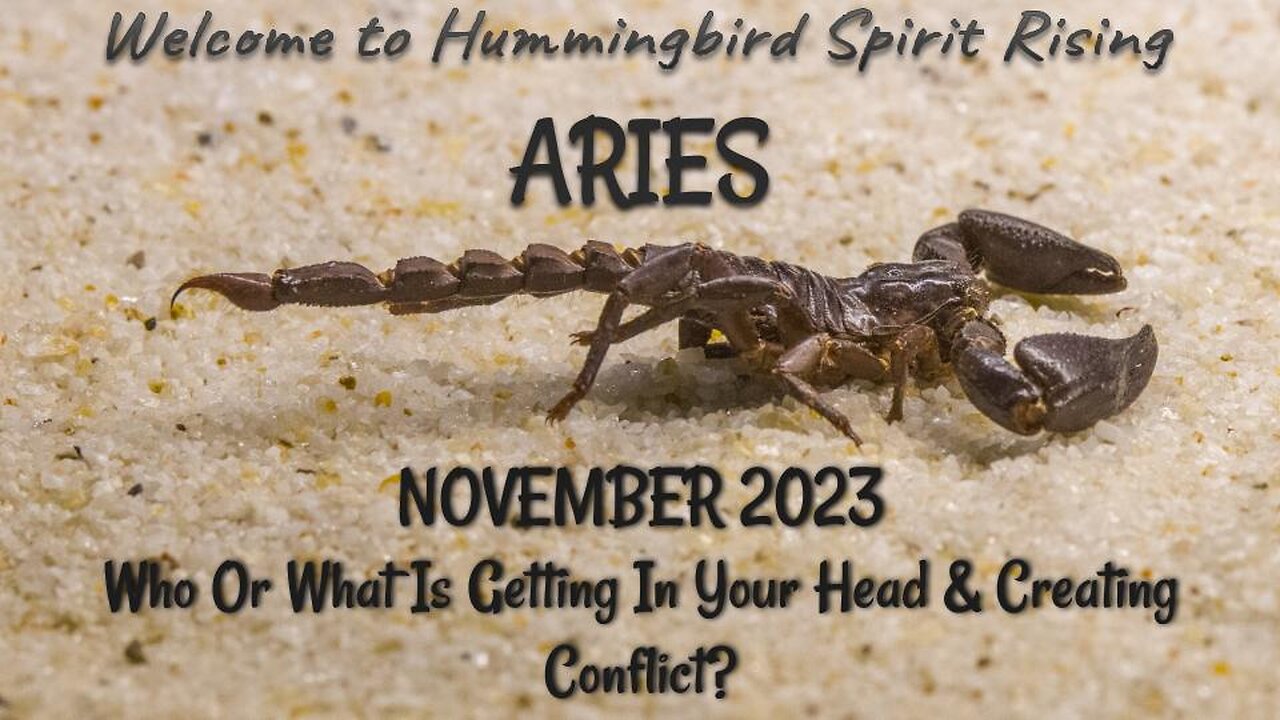 ARIES November 2023 - Who Or What Is Getting In Your Head & Causing Conflict?