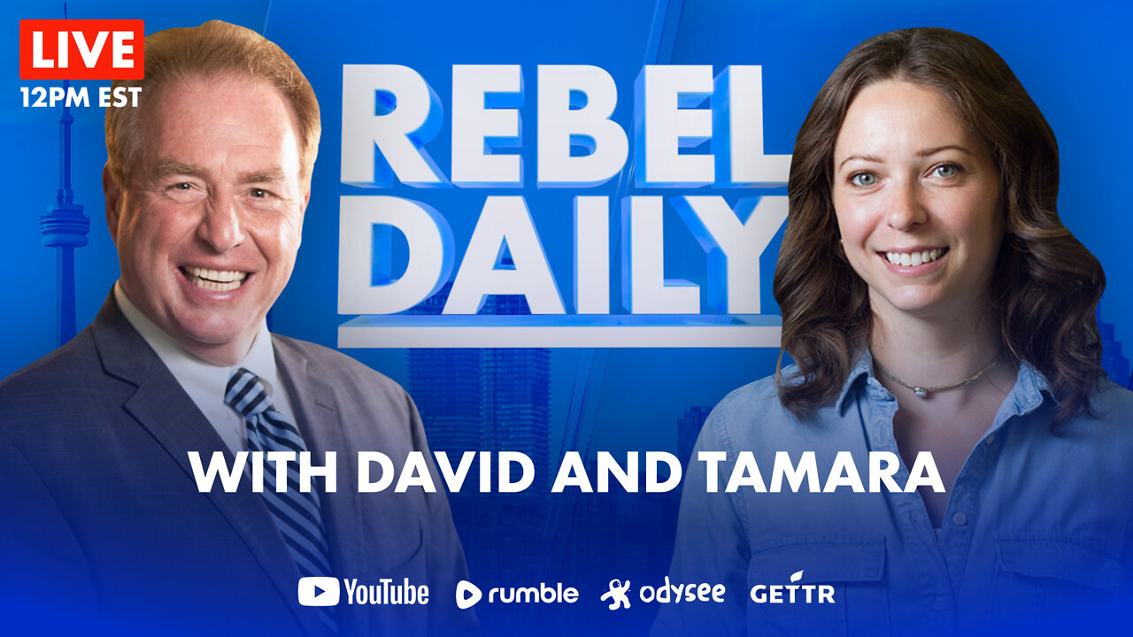 DAILY | Embrace green ideas, save billions; Fmr NDP MP goes anti-woke; Italy's new PM trashes Macron