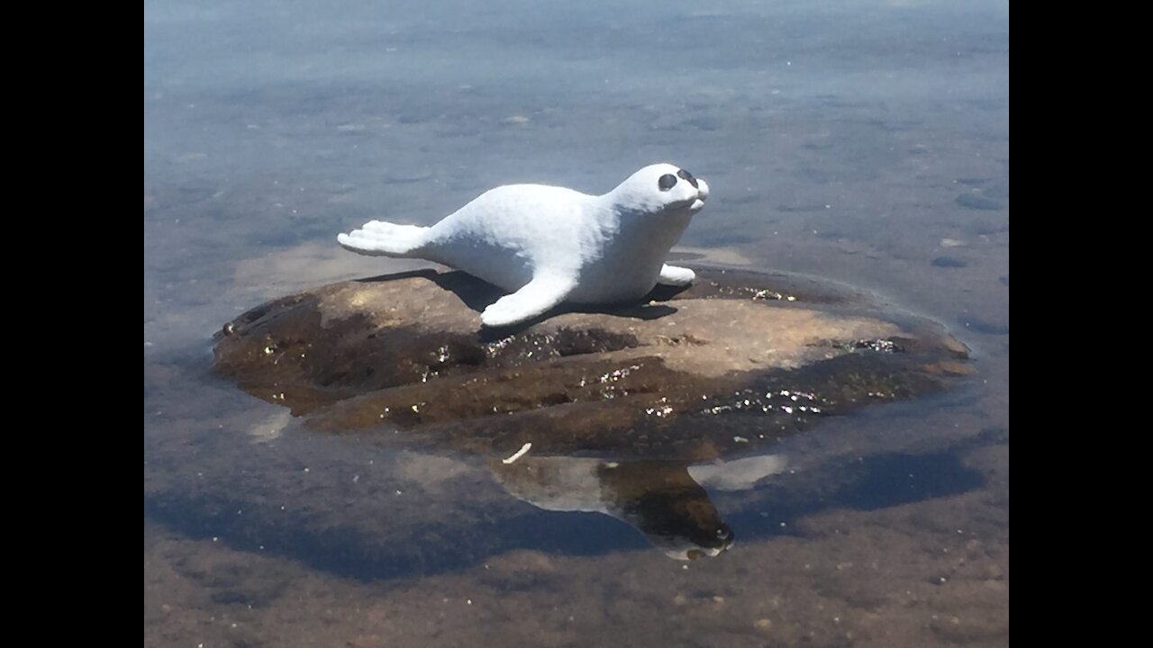 3D Printed Baby Seal